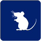 Rodent Icon