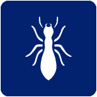 termite icon